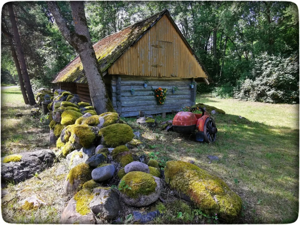 IMG_20230623_114043-01