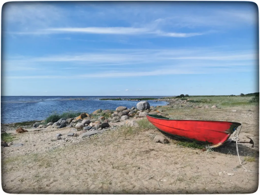 IMG_20230624_161717-01