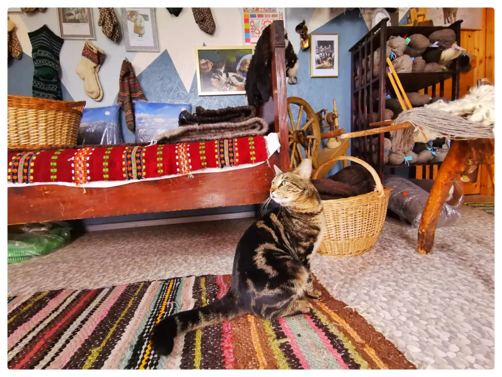 IMG_20250423_183038-01