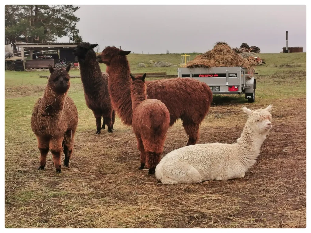 IMG_20250423_184227-02