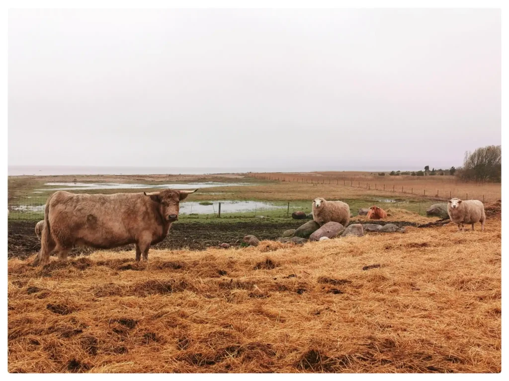 IMG_20250423_191320-01