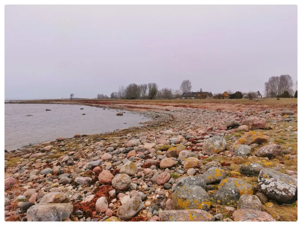 IMG_20250423_193016-01